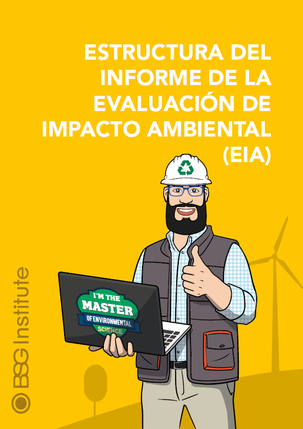 Estructura del Informe de la Evaluación de Impacto Ambiental (EIA)