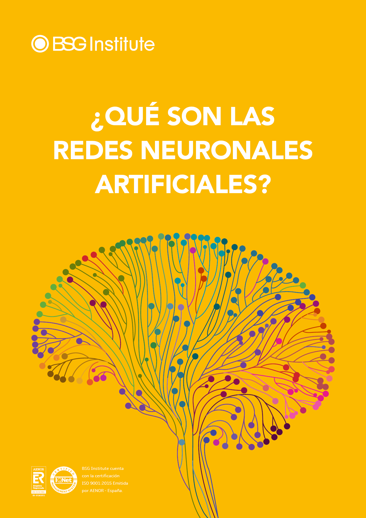 ¿Qué son las Redes Neuronales Artificiales?